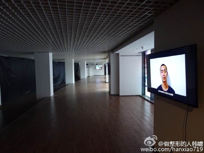 Parabiosis Art Exhibition(图3)